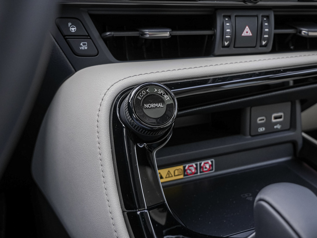 Fahrzeugansicht LEXUS NX 350h Luxury AWD - Bild 16