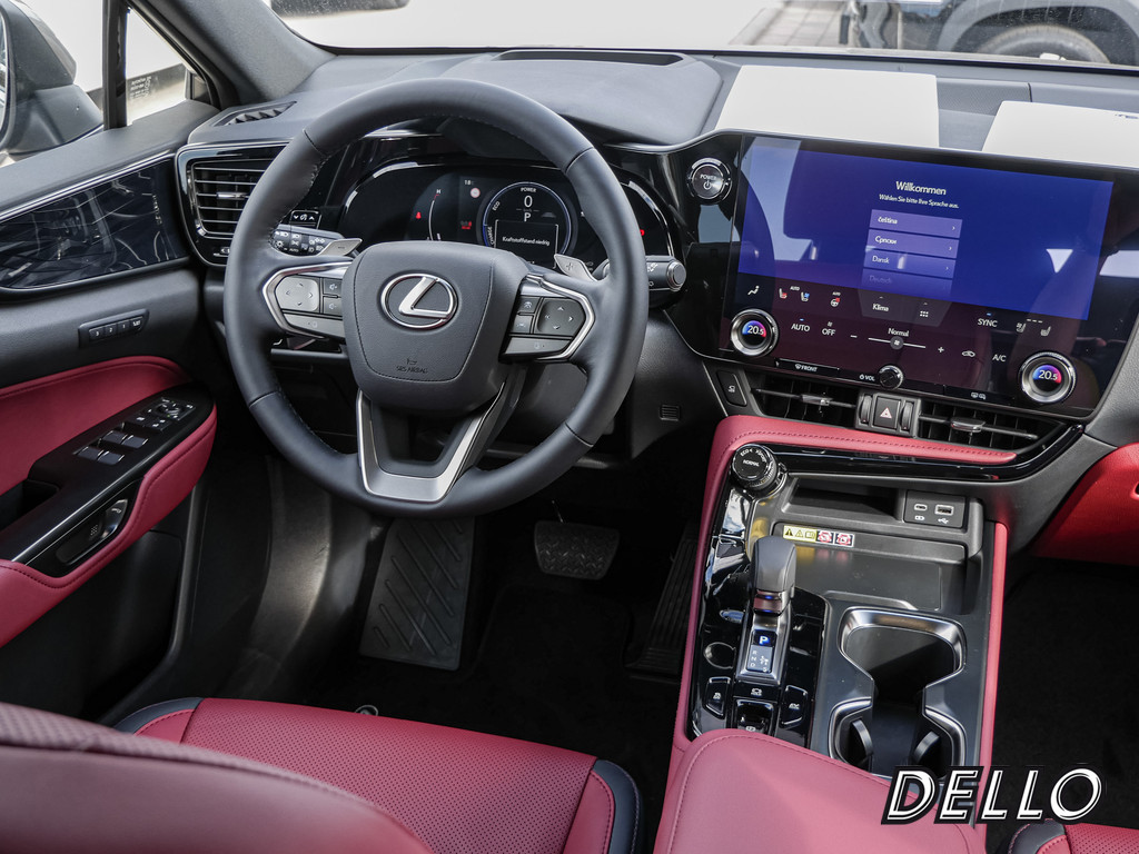 Fahrzeugansicht LEXUS NX 350h Executive - Bild 7