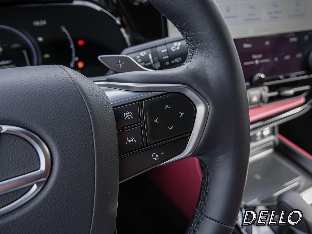Fahrzeugansicht LEXUS NX 350h Executive - Bild 24