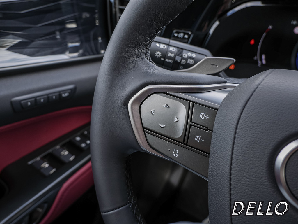 Fahrzeugansicht LEXUS NX 350h Executive - Bild 25