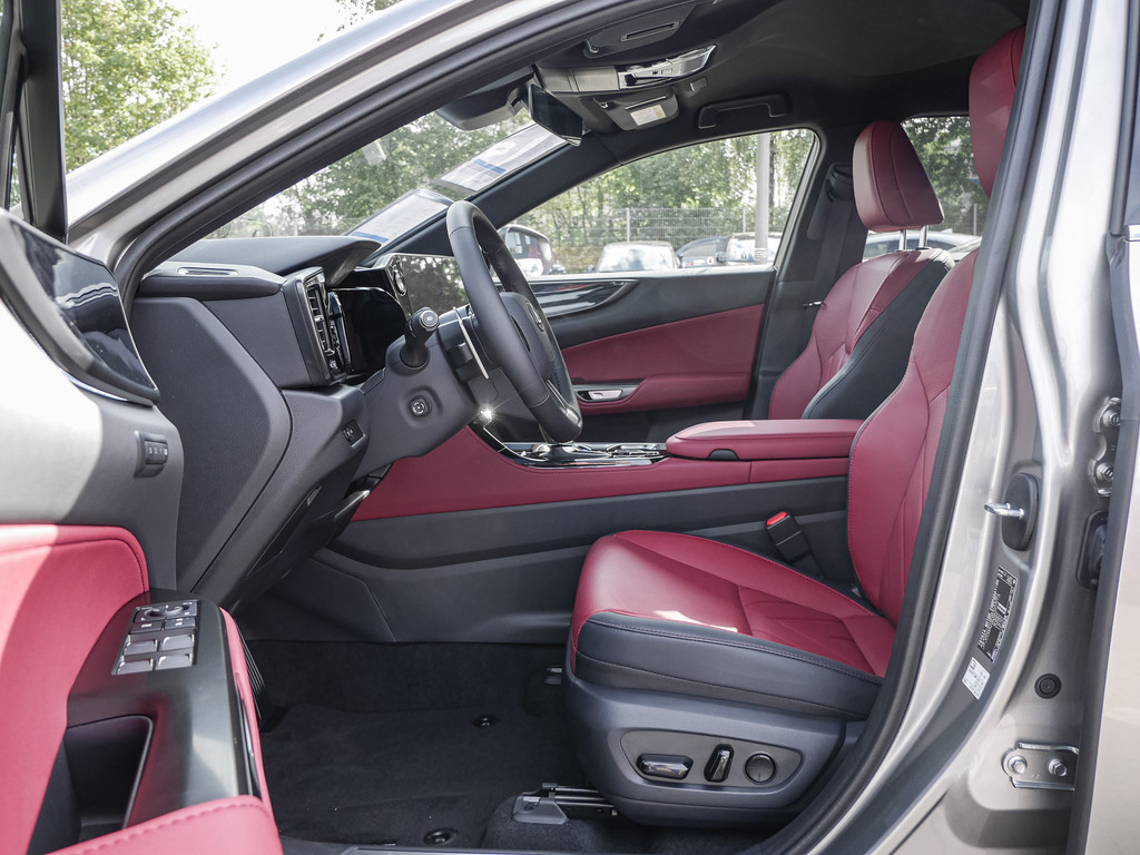 Fahrzeugansicht LEXUS NX 350h Executive - Bild 3