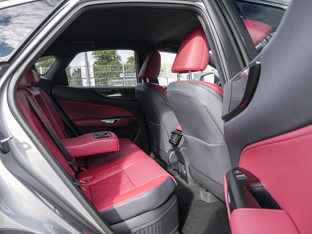 Fahrzeugansicht LEXUS NX 350h Executive - Bild 5