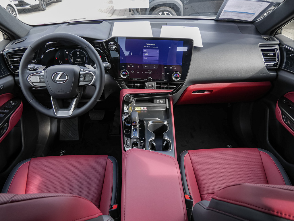 Fahrzeugansicht LEXUS NX 350h Executive - Bild 6