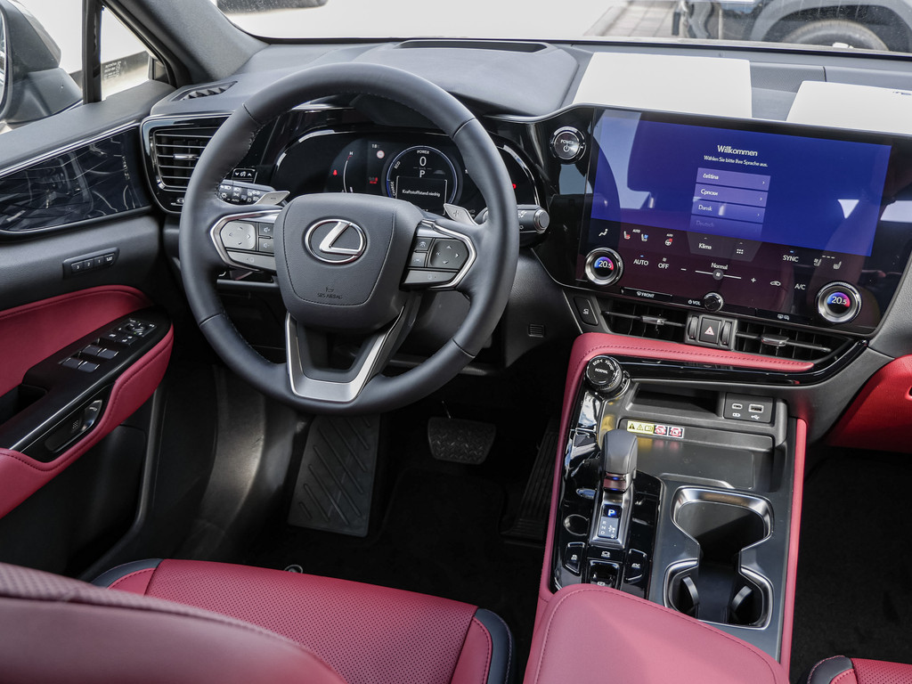 Fahrzeugansicht LEXUS NX 350h Executive - Bild 7