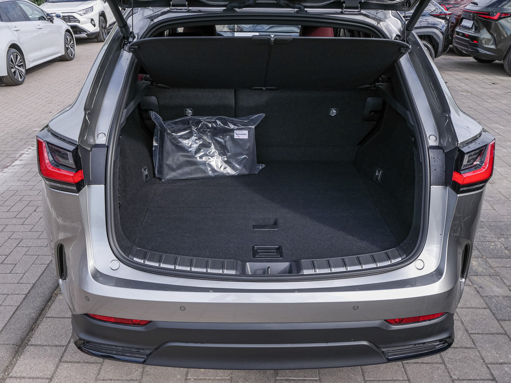 Fahrzeugansicht LEXUS NX 350h Executive - Bild 9