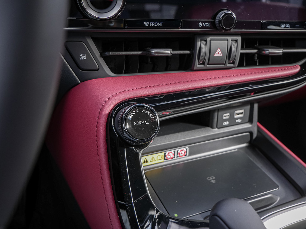 Fahrzeugansicht LEXUS NX 350h Executive - Bild 16