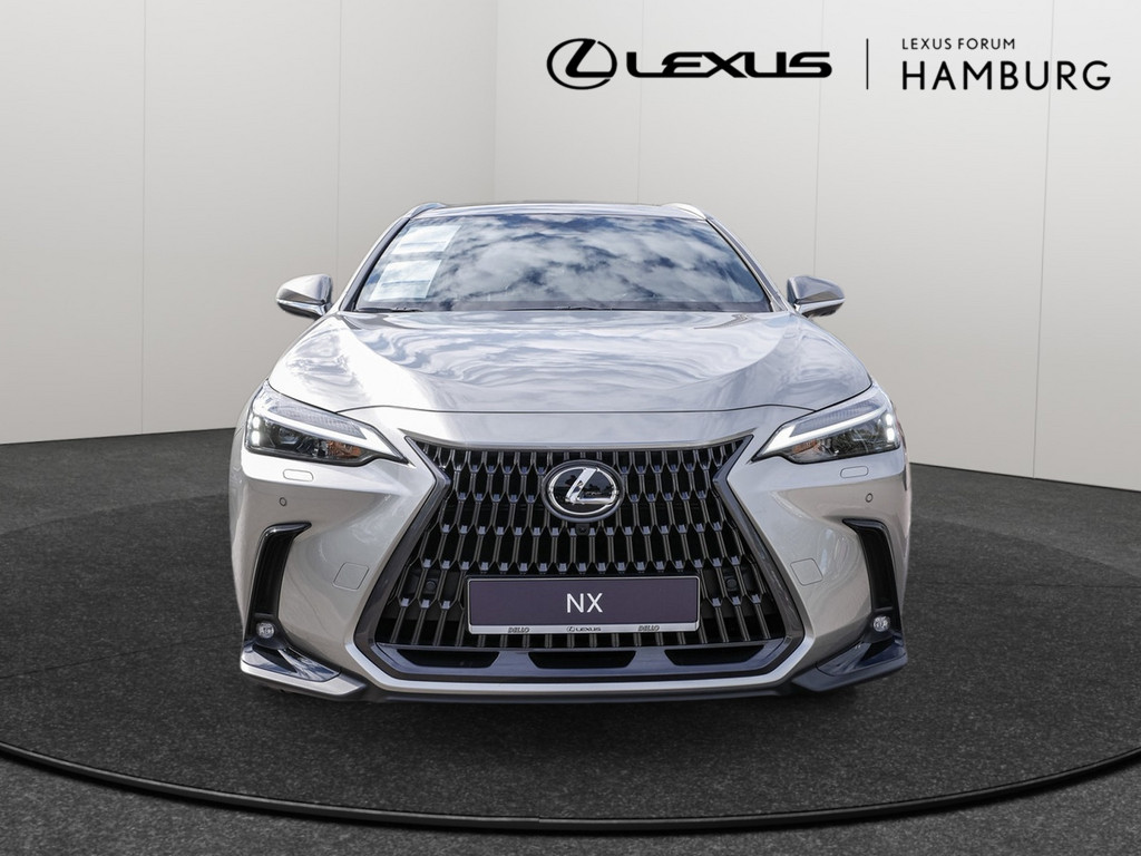 Fahrzeugansicht LEXUS NX 350h Executive - Bild 12