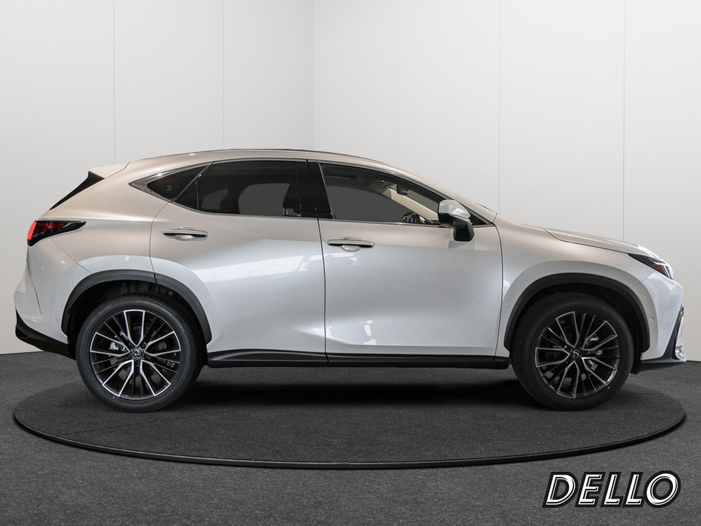 Fahrzeugansicht LEXUS NX 350h Luxury AWD - Bild 33