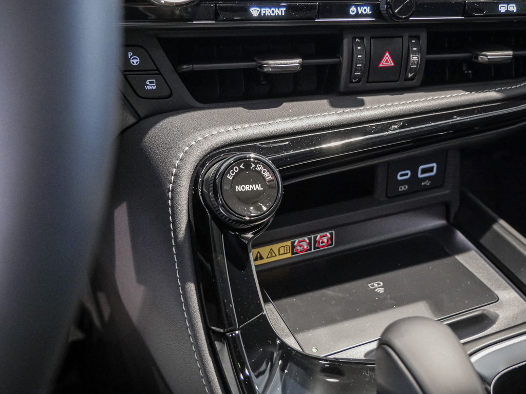 Fahrzeugansicht LEXUS NX 350h Luxury AWD - Bild 16