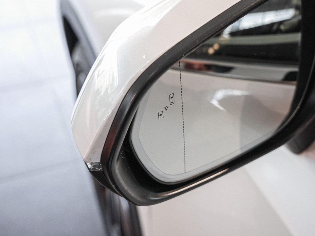 Fahrzeugansicht LEXUS NX 350h Luxury AWD - Bild 38