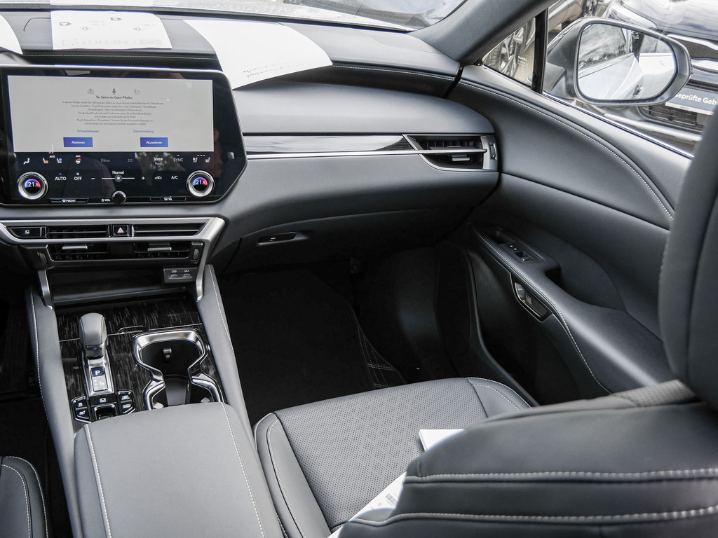 Fahrzeugansicht LEXUS RX 450h + F Sport Design - Bild 5