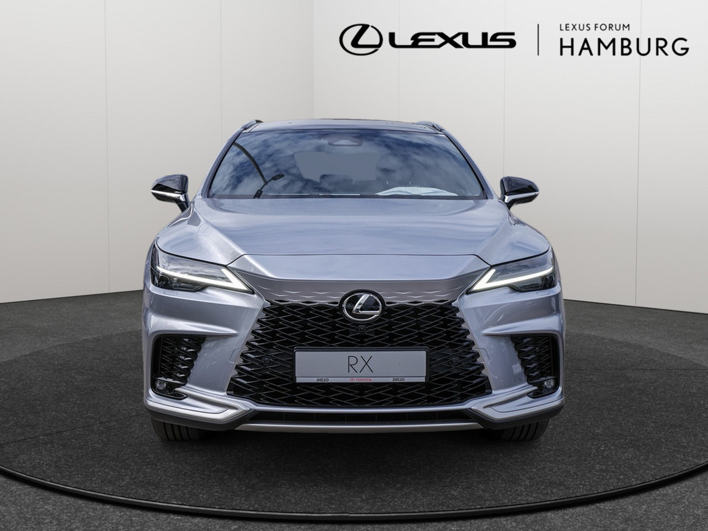 Fahrzeugansicht LEXUS RX 450h + F Sport Design - Bild 12