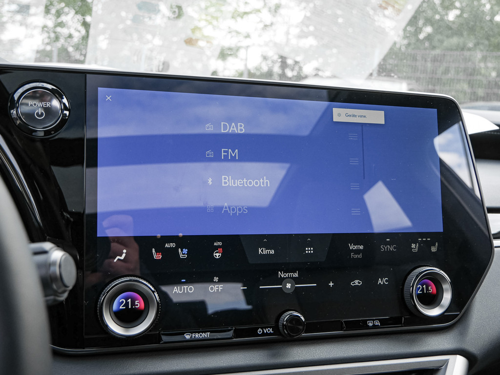 Fahrzeugansicht LEXUS RX 450h + F Sport Design - Bild 16