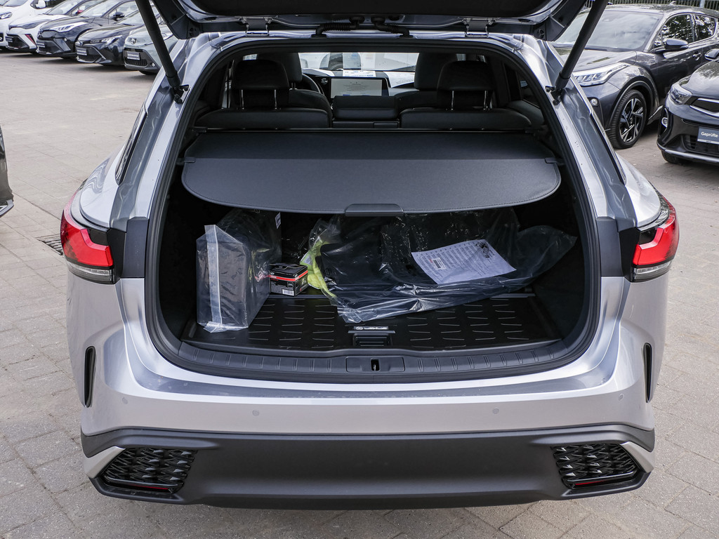 Fahrzeugansicht LEXUS RX 450h + F Sport Design - Bild 6