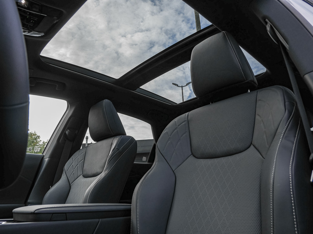 Fahrzeugansicht LEXUS RX 450h + F Sport Design - Bild 11