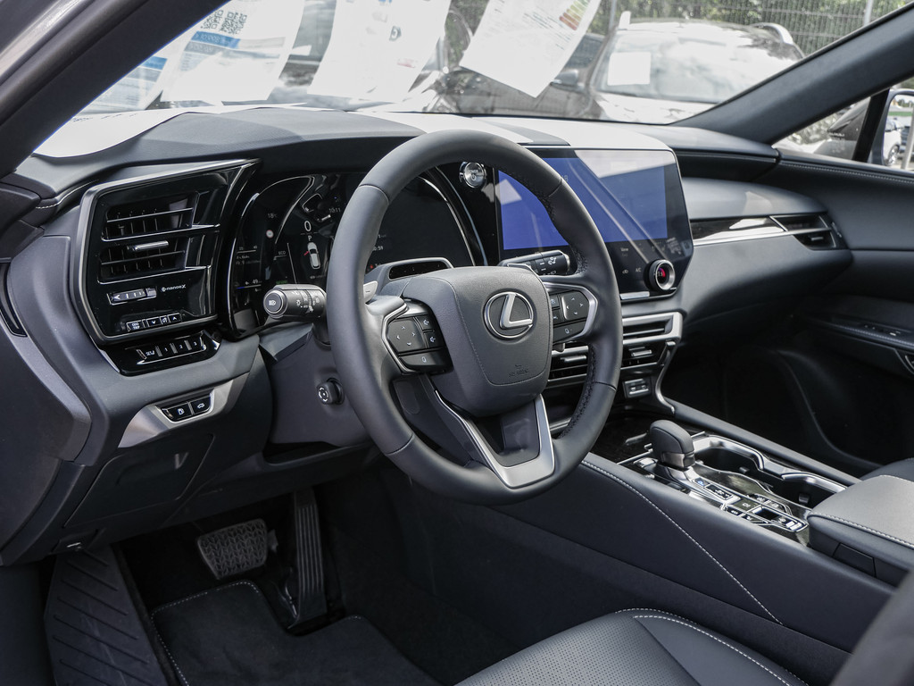 Fahrzeugansicht LEXUS RX 450h + F Sport Design - Bild 29