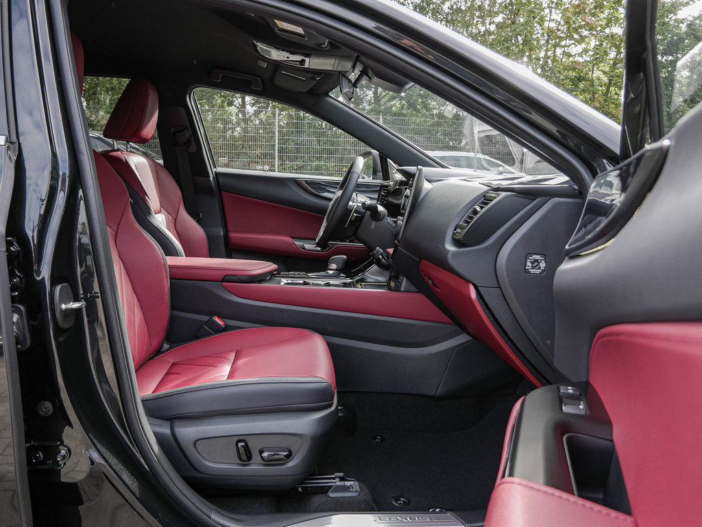 Fahrzeugansicht LEXUS NX 350h Executive - Bild 3