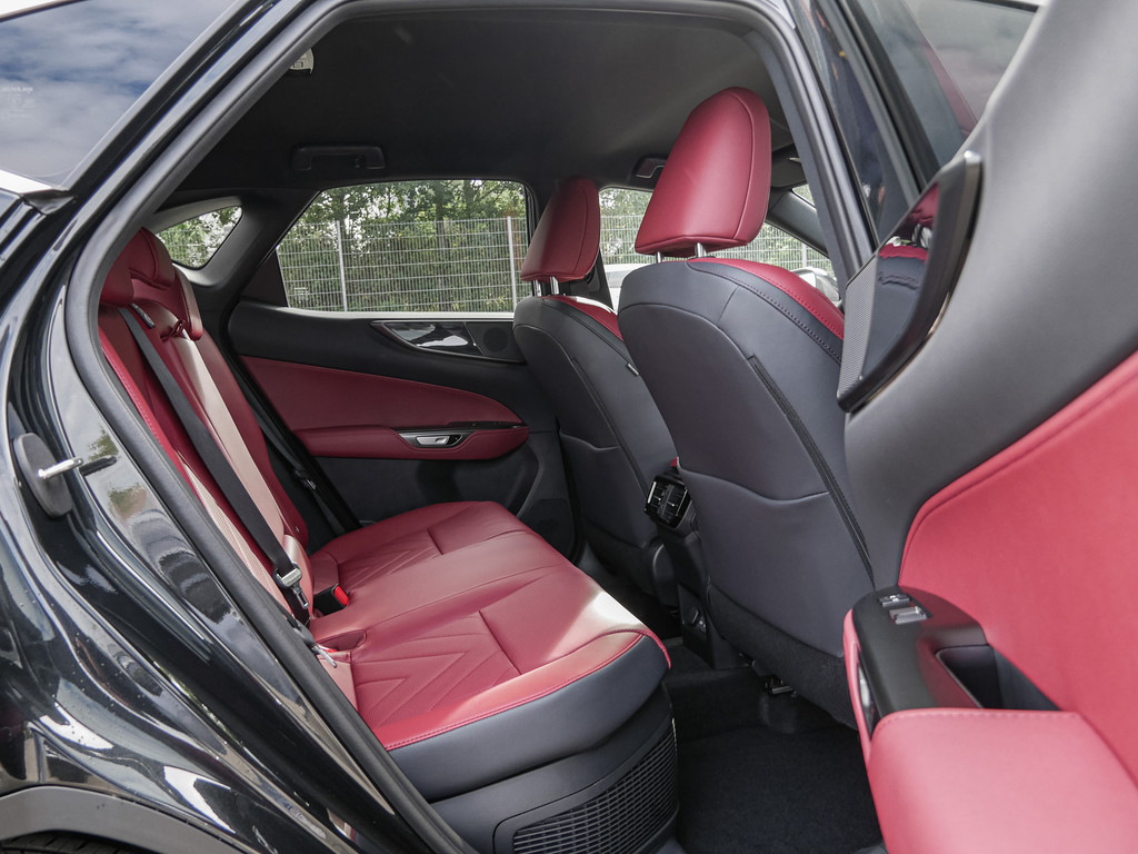 Fahrzeugansicht LEXUS NX 350h Executive - Bild 4