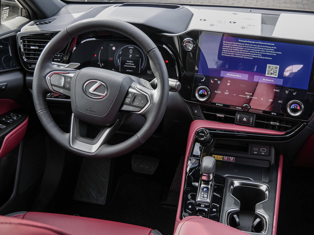 Fahrzeugansicht LEXUS NX 350h Executive - Bild 6