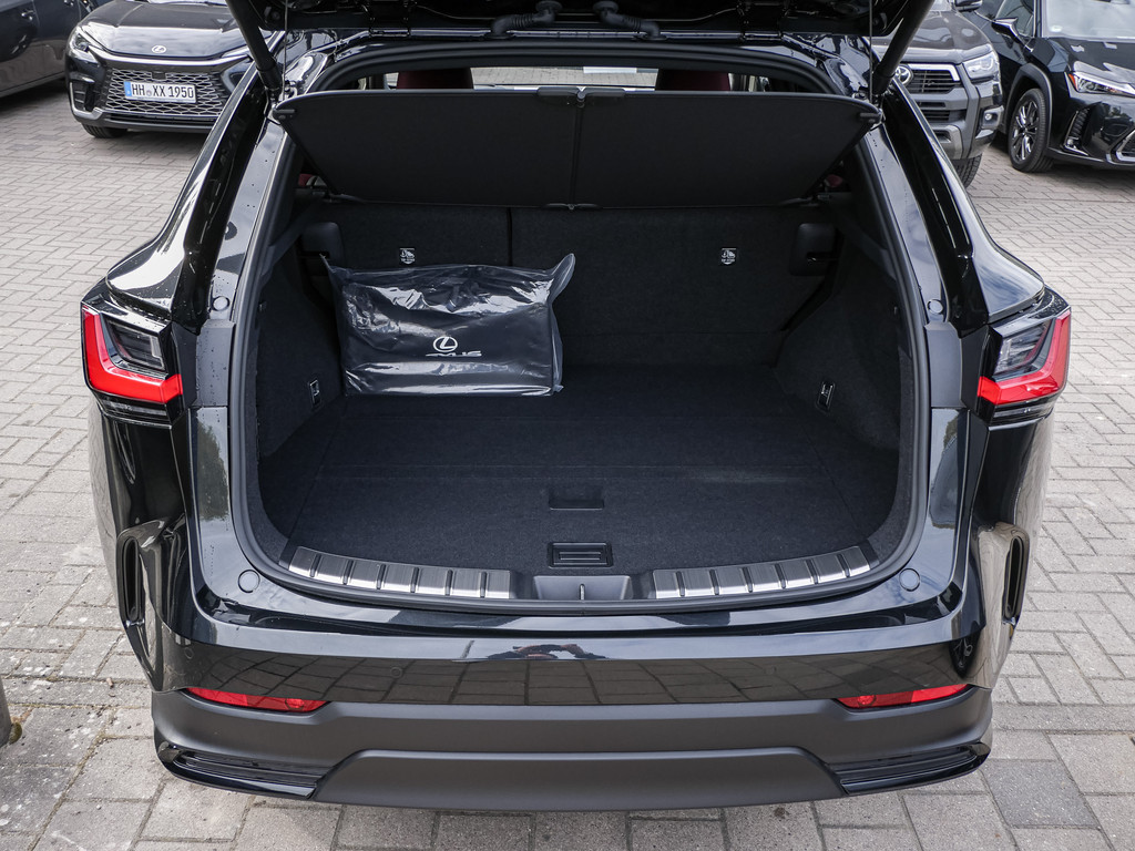 Fahrzeugansicht LEXUS NX 350h Executive - Bild 8