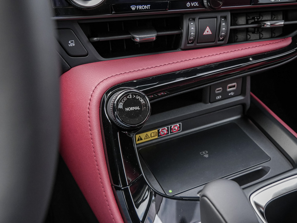 Fahrzeugansicht LEXUS NX 350h Executive - Bild 16