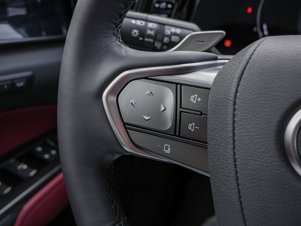 Fahrzeugansicht LEXUS NX 350h Executive - Bild 25