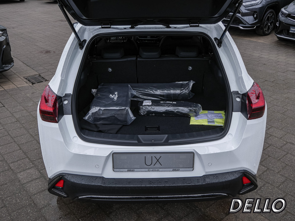 Fahrzeugansicht LEXUS UX 2.0 300 h - Bild 10