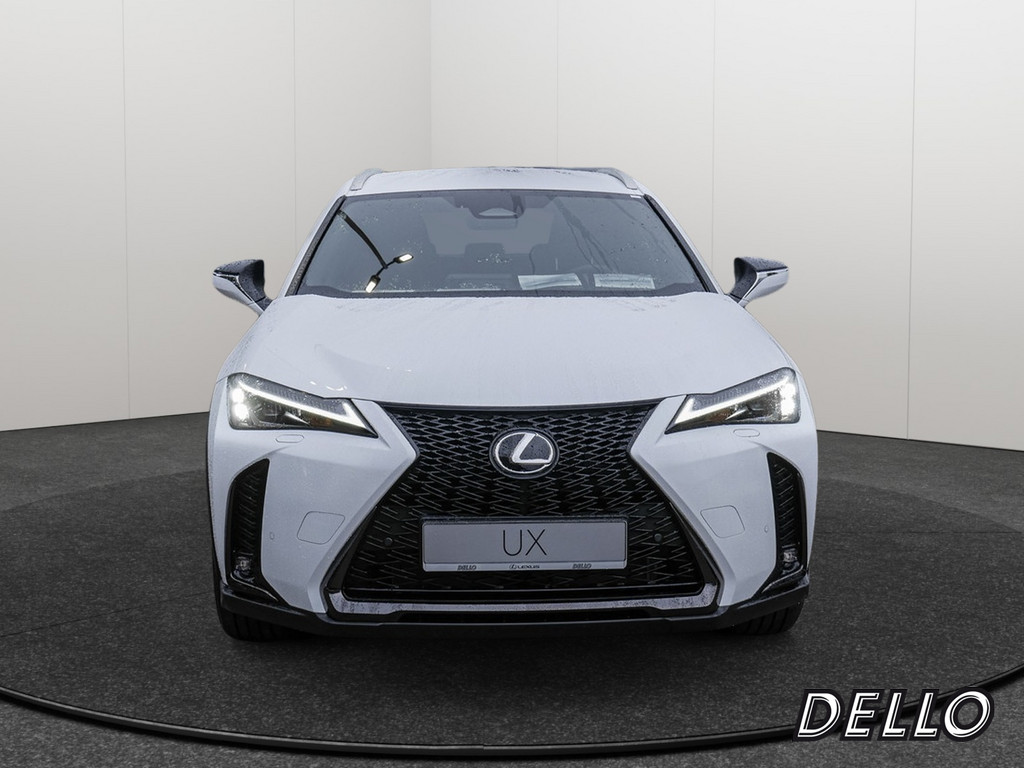 Fahrzeugansicht LEXUS UX 2.0 300 h - Bild 12