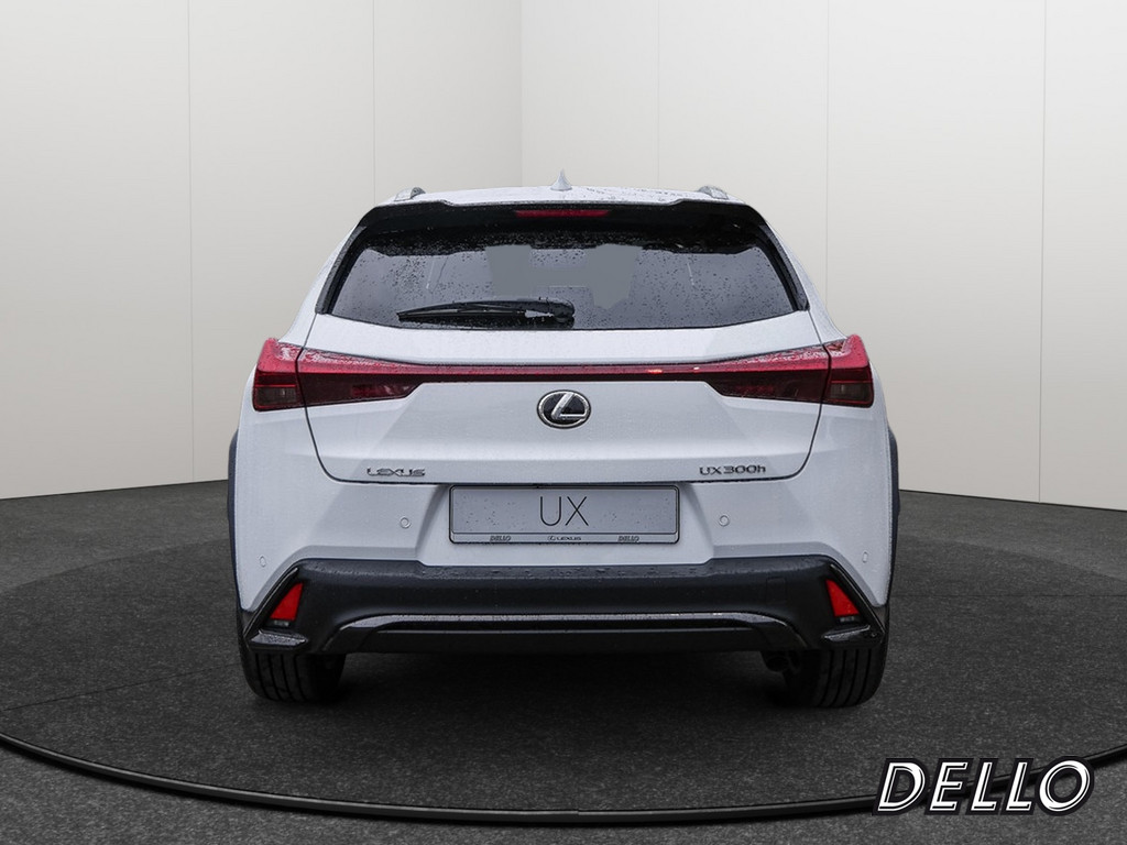 Fahrzeugansicht LEXUS UX 2.0 300 h - Bild 37