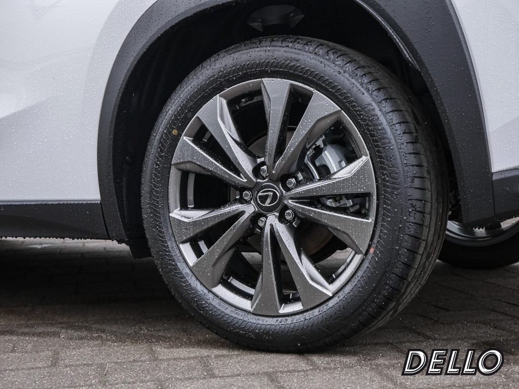 Fahrzeugansicht LEXUS UX 2.0 300 h - Bild 39