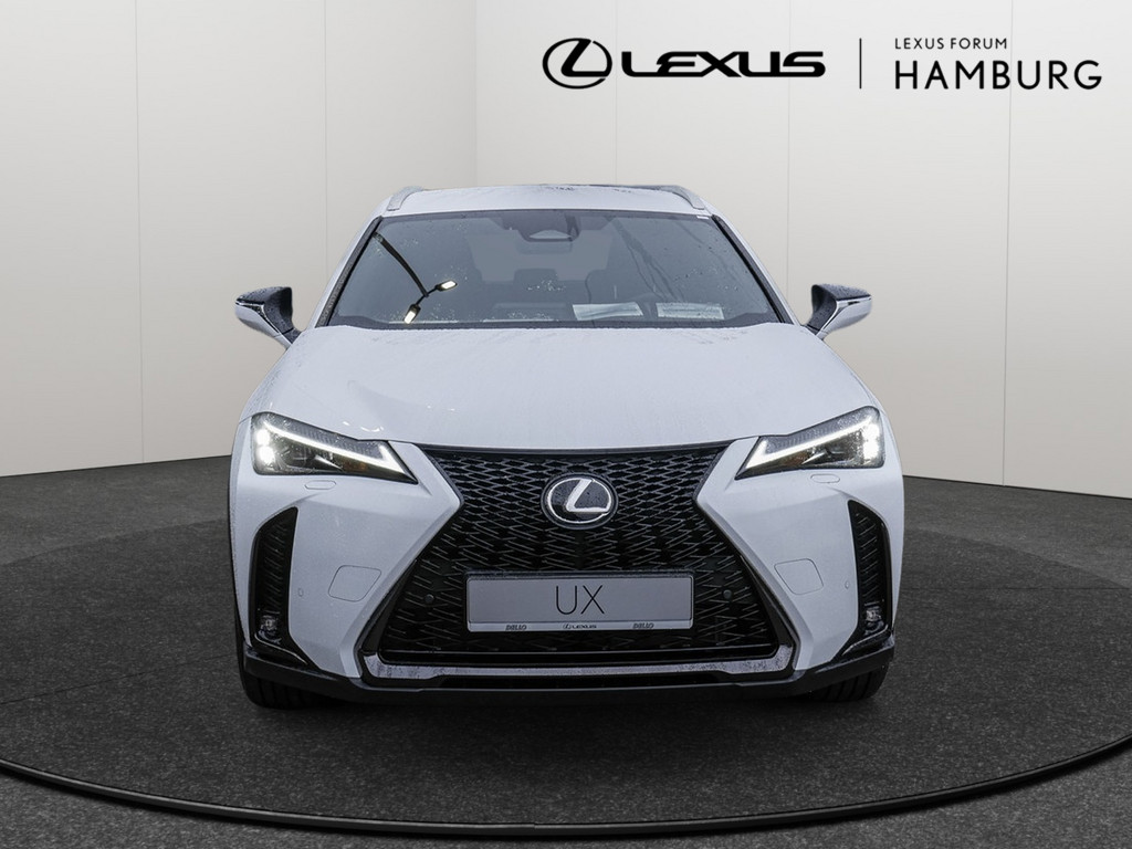 Fahrzeugansicht LEXUS UX 300 h F Sport Design - Bild 12
