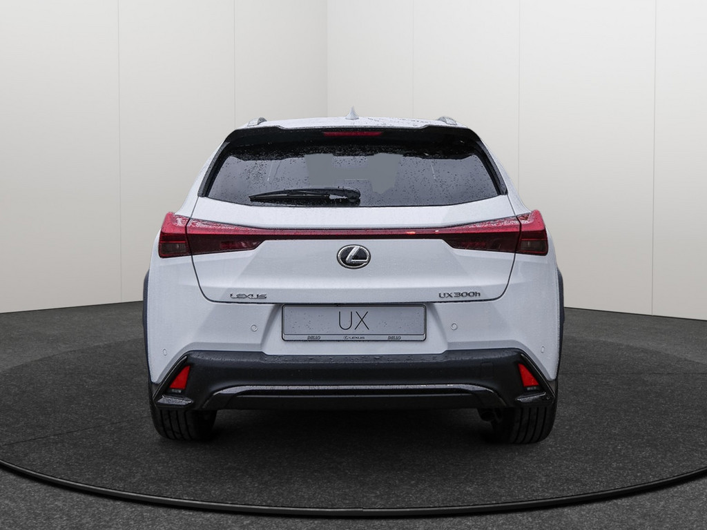 Fahrzeugansicht LEXUS UX 300 h F Sport Design - Bild 37