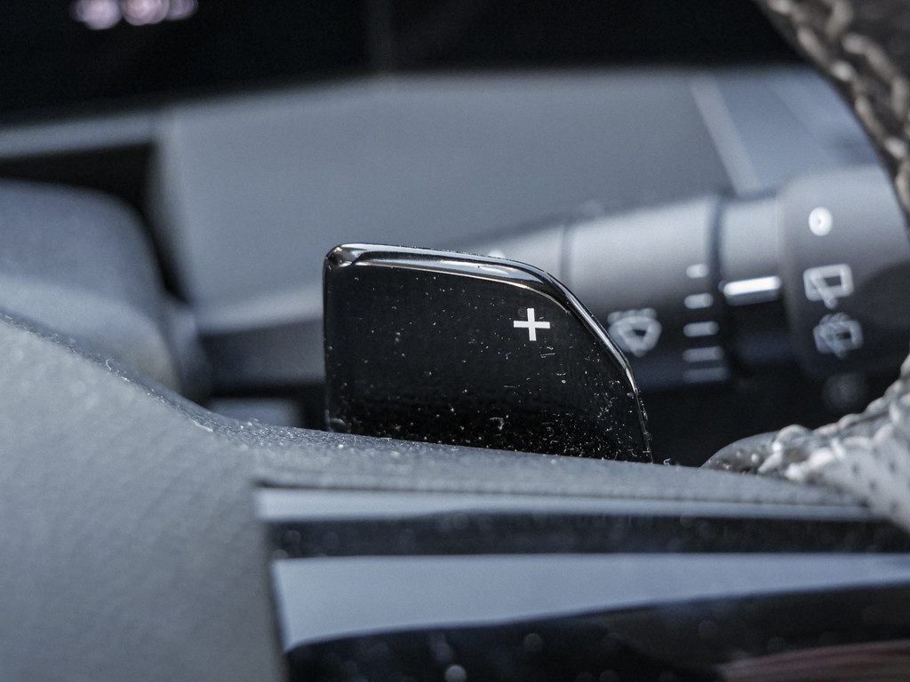 Fahrzeugansicht OPEL Astra L 5-trg. 1.6 Business Elegance Plug-in-Hybrid - Bild 21