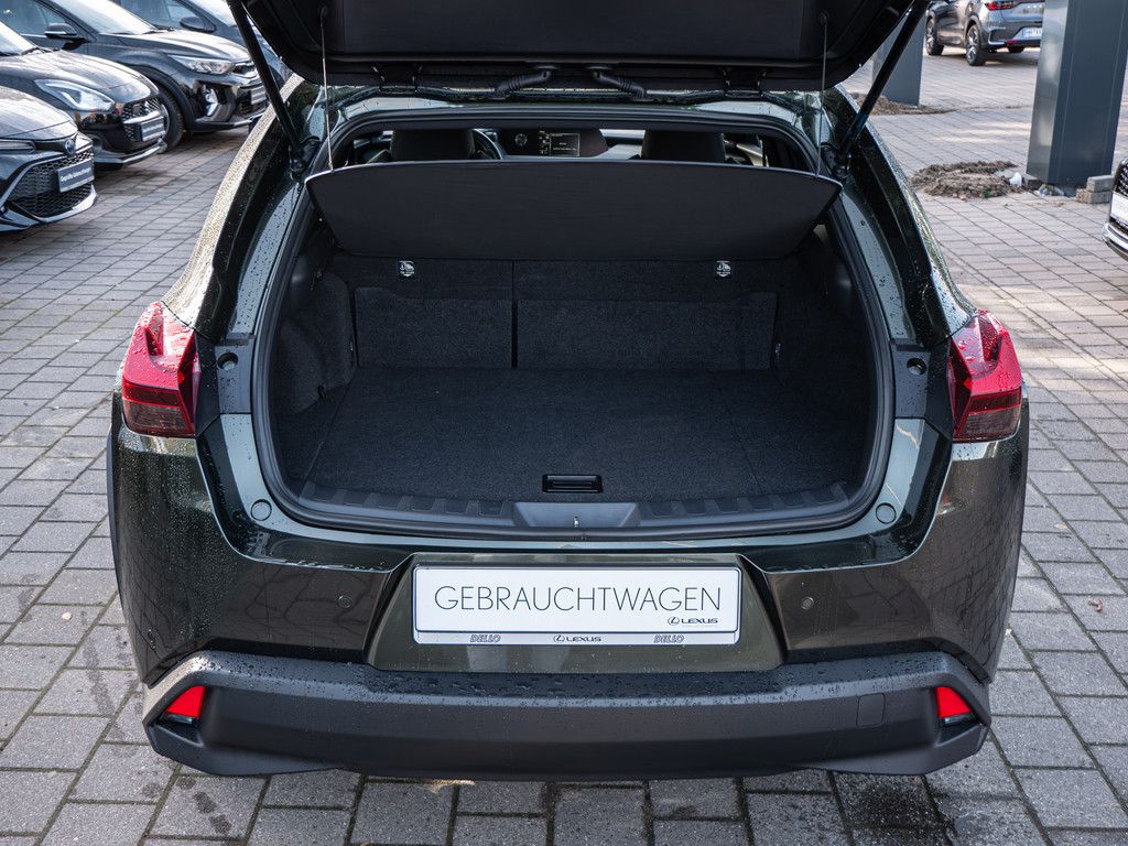 Fahrzeugansicht LEXUS UX 250 h Style+ - Bild 8