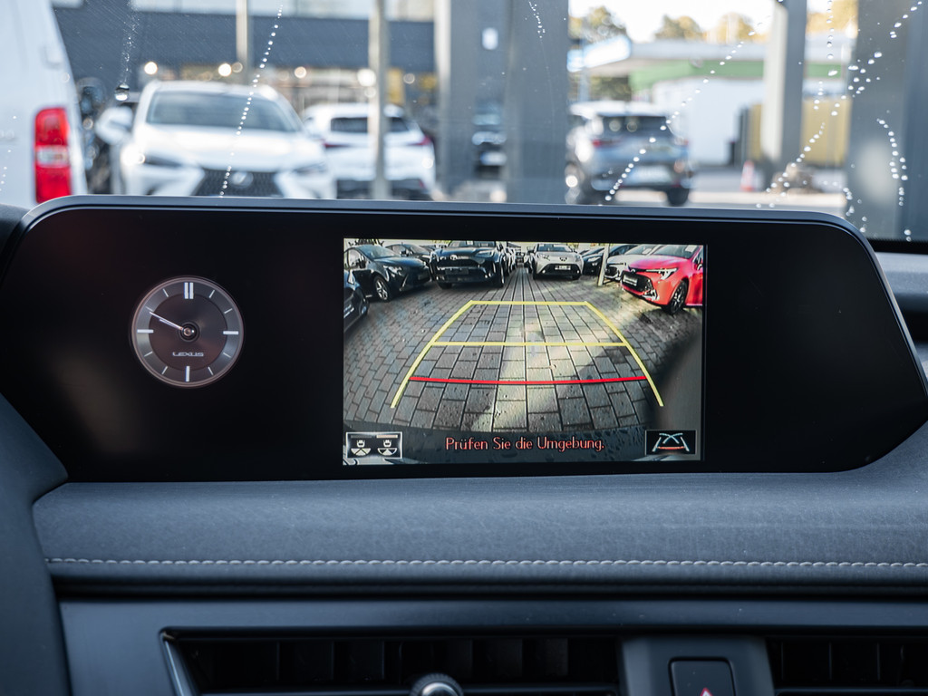 Fahrzeugansicht LEXUS UX 250 h Style+ - Bild 10