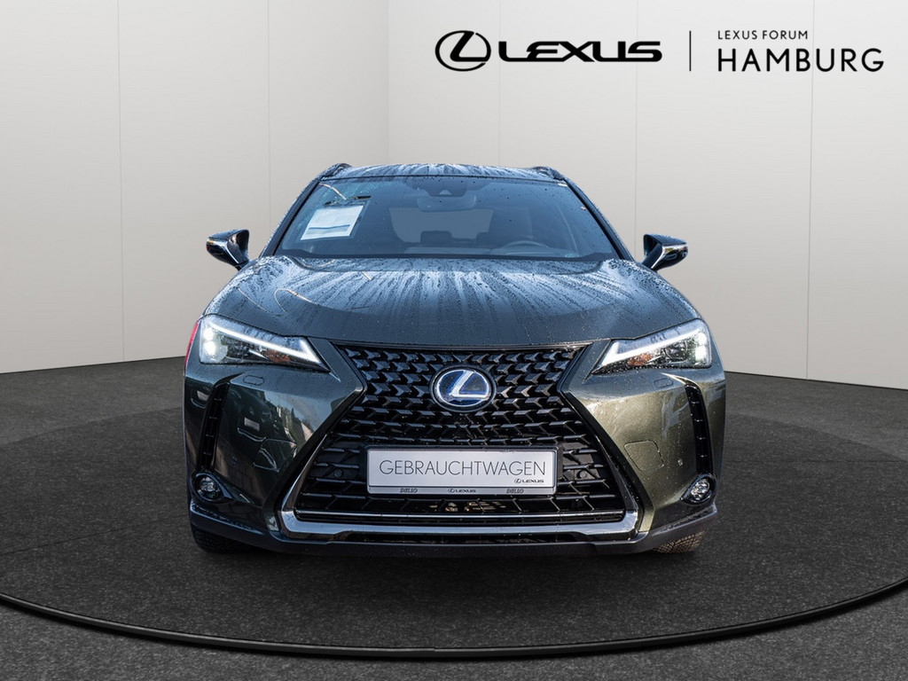 Fahrzeugansicht LEXUS UX 250 h Style+ - Bild 12
