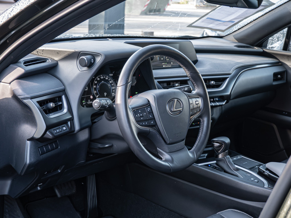 Fahrzeugansicht LEXUS UX 250 h Style+ - Bild 29