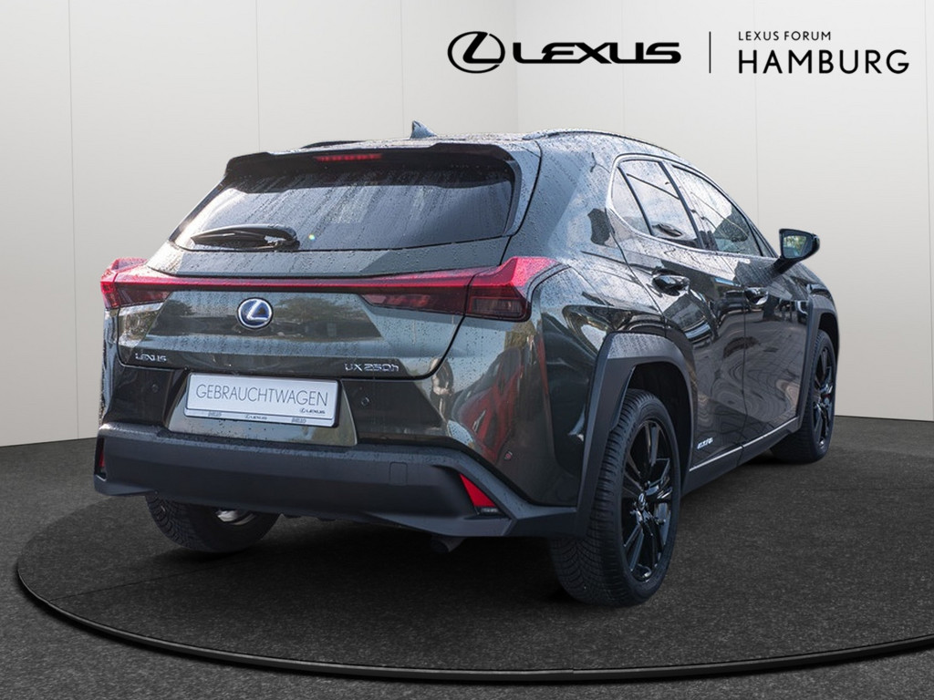 Fahrzeugansicht LEXUS UX 250 h Style+ - Bild 32