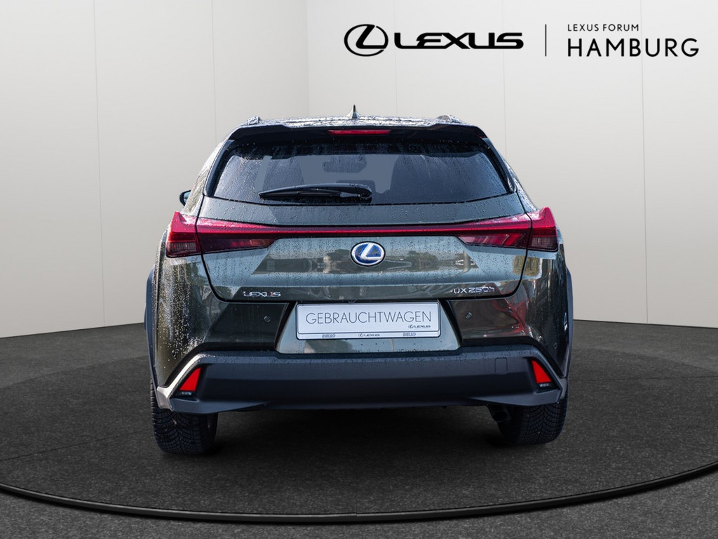 Fahrzeugansicht LEXUS UX 250 h Style+ - Bild 33