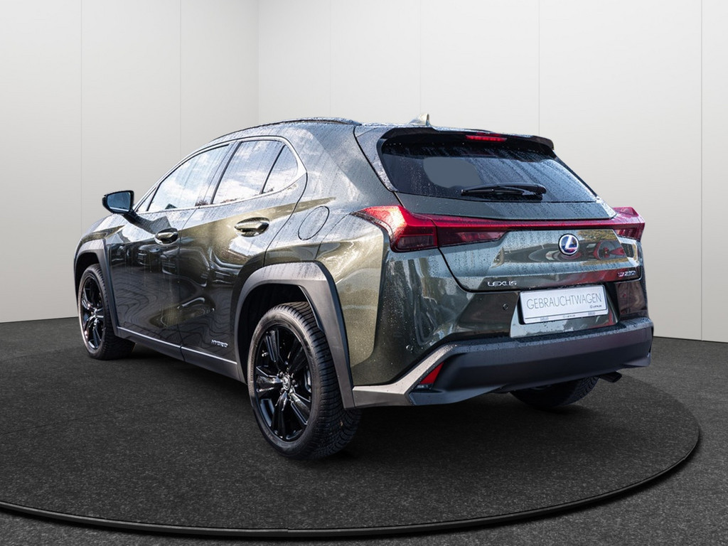 Fahrzeugansicht LEXUS UX 250 h Style+ - Bild 34