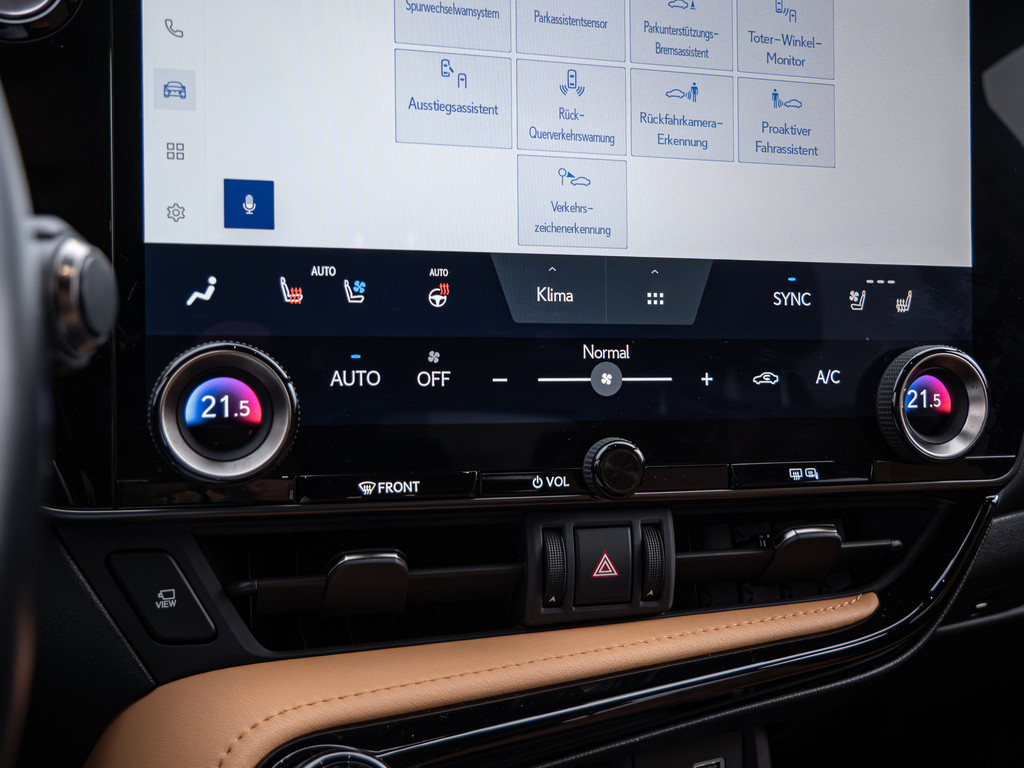 Fahrzeugansicht LEXUS NX 450h + Executive - Bild 19