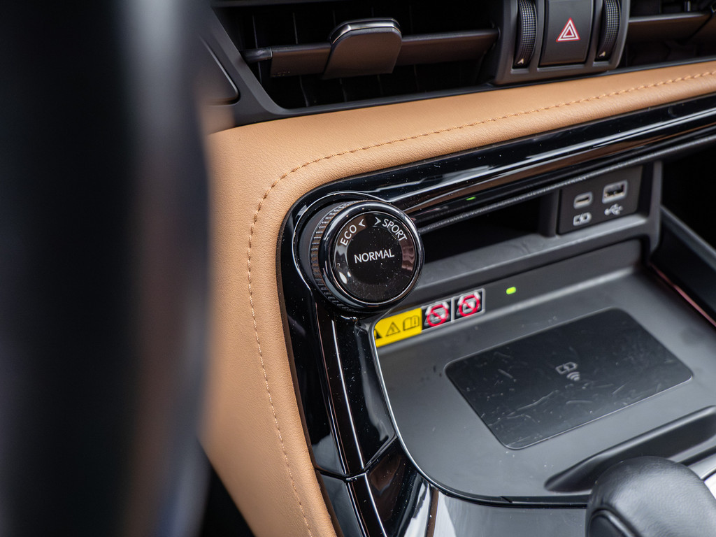 Fahrzeugansicht LEXUS NX 450h + Executive - Bild 20