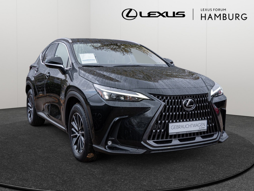 Fahrzeugansicht LEXUS NX 450h + Executive - Bild 23