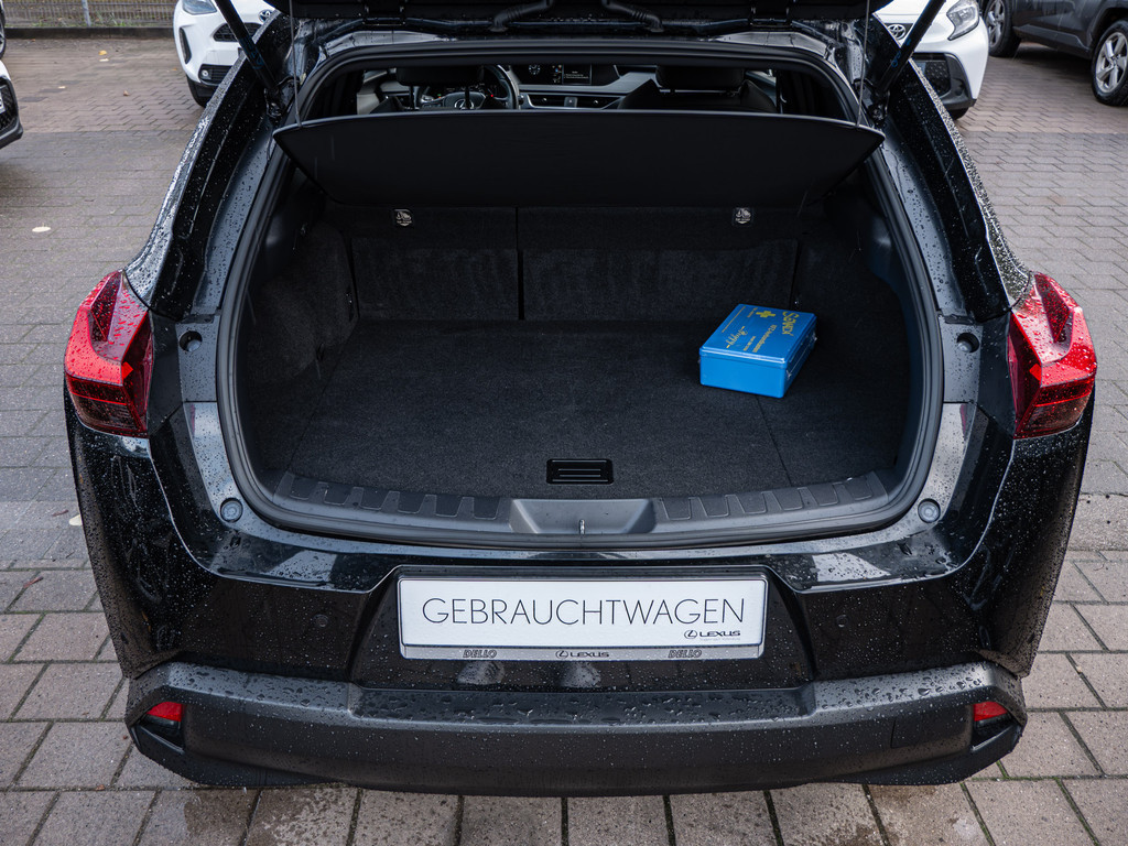 Fahrzeugansicht LEXUS UX 250 h Style+ - Bild 9