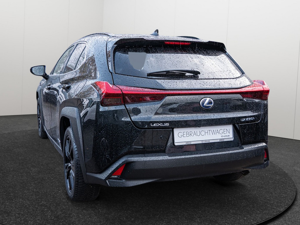 Fahrzeugansicht LEXUS UX 250 h Style+ - Bild 38