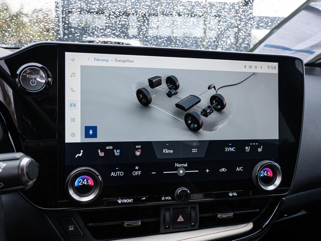 Fahrzeugansicht LEXUS NX 450h + Executive - Bild 8