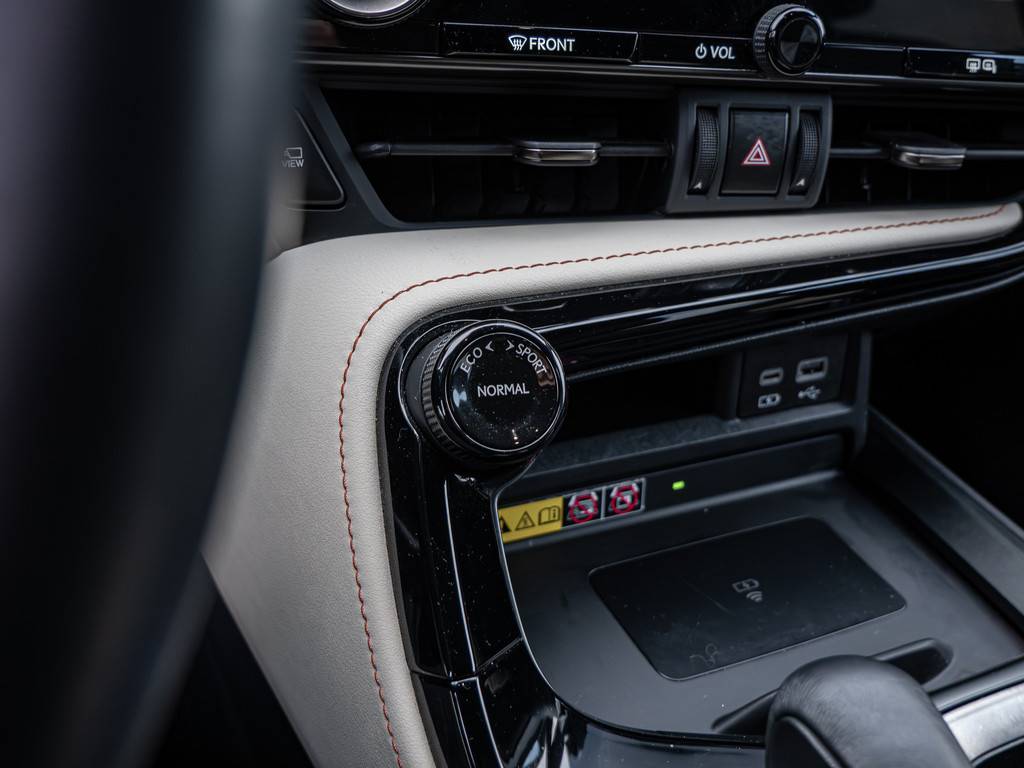 Fahrzeugansicht LEXUS NX 450h + Executive - Bild 10