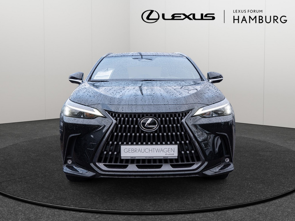 Fahrzeugansicht LEXUS NX 450h + Executive - Bild 12