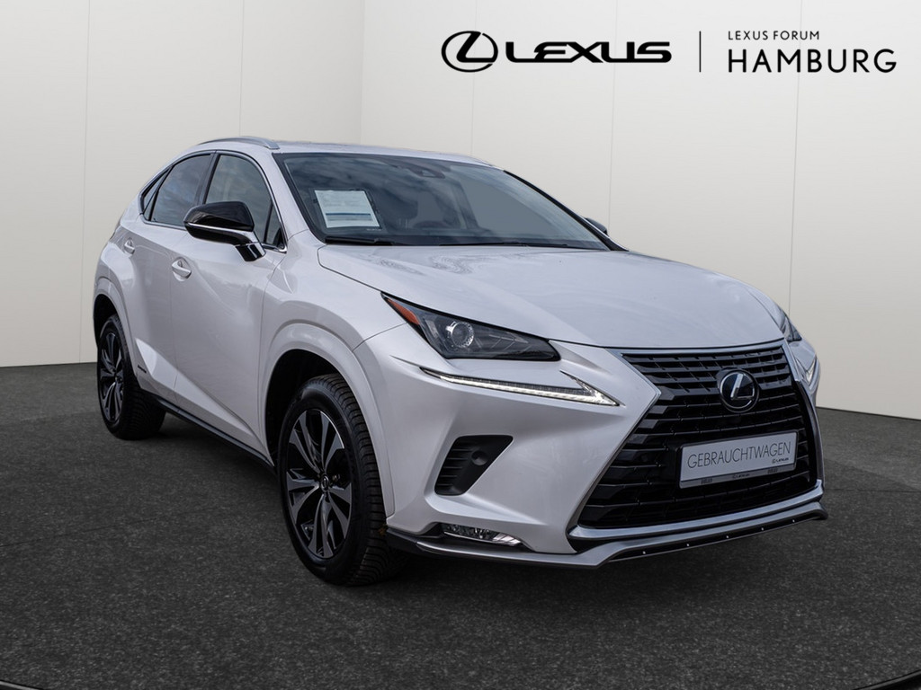 Fahrzeugansicht LEXUS NX 300h Style Edition - Bild 23