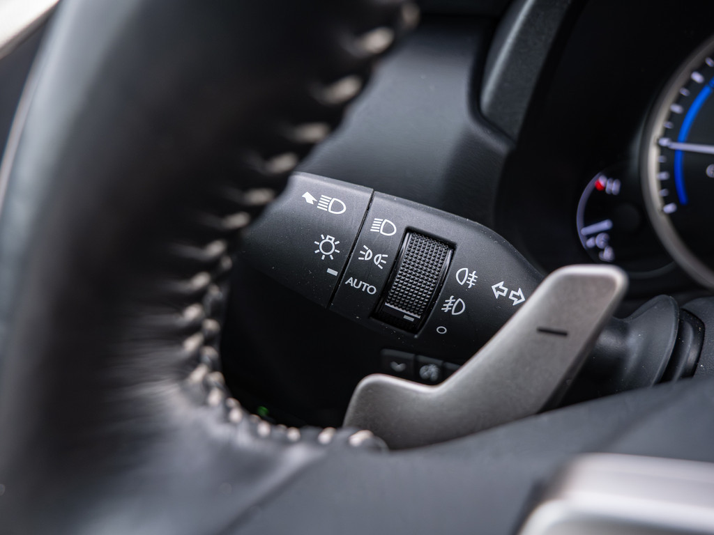 Fahrzeugansicht LEXUS NX 300h Style Edition - Bild 24